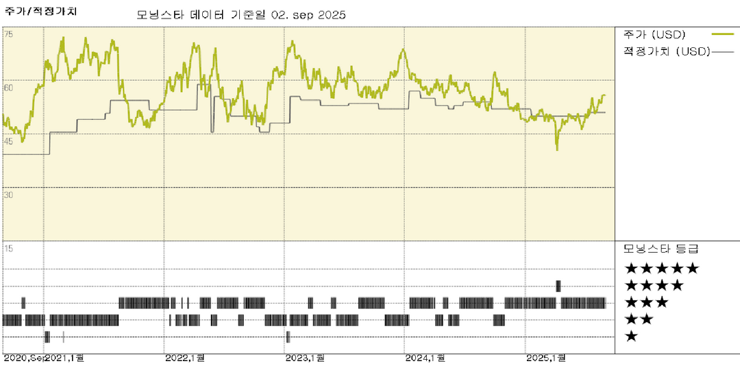모닝스타 이미지