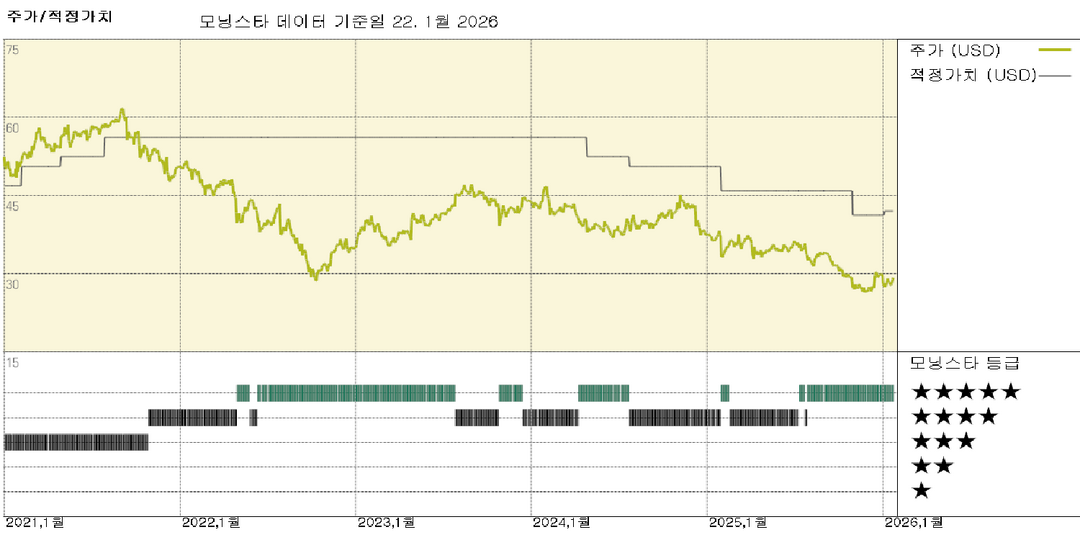 모닝스타 이미지