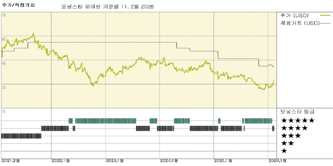 모닝스타 이미지
