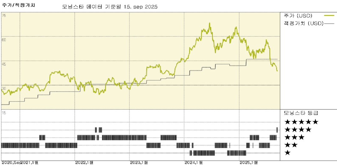 모닝스타 이미지