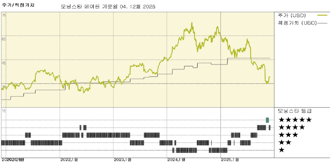 모닝스타 이미지