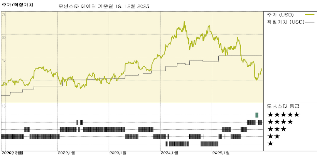 모닝스타 이미지