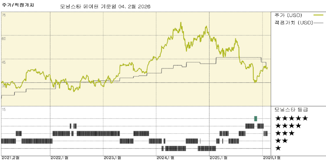 모닝스타 이미지