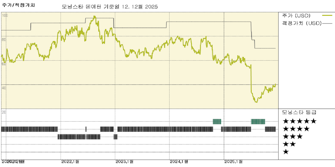 모닝스타 이미지