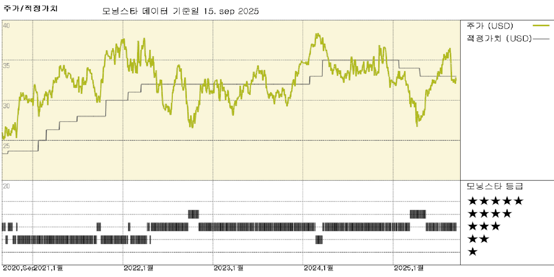 모닝스타 이미지