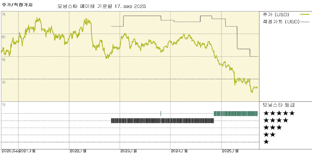 모닝스타 이미지