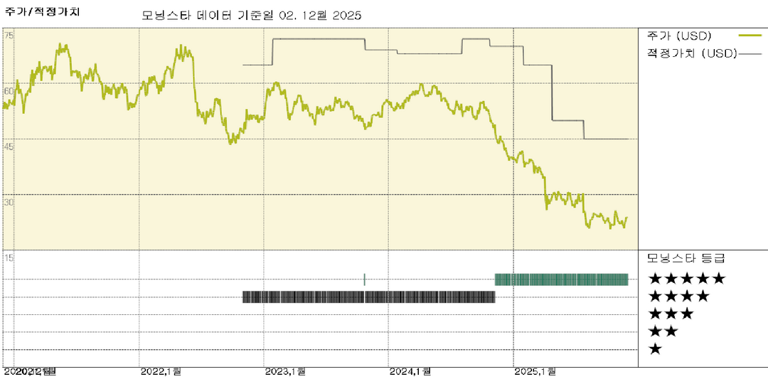모닝스타 이미지