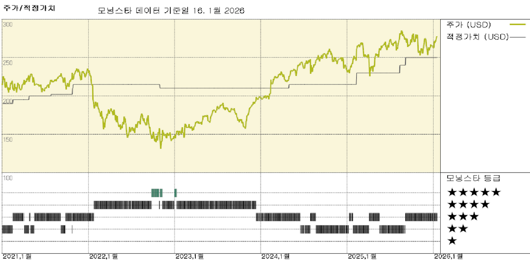 모닝스타 이미지