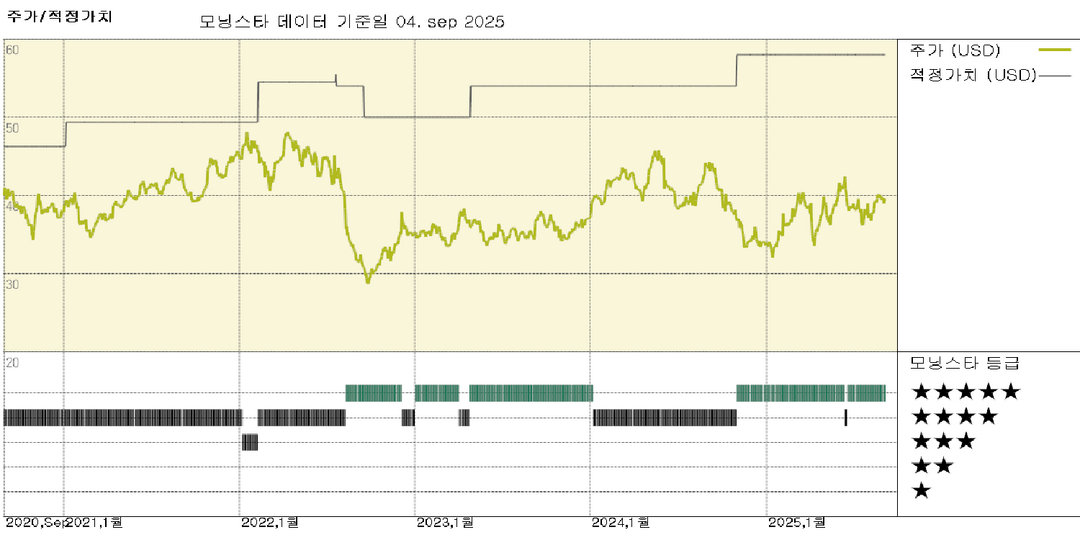 모닝스타 이미지