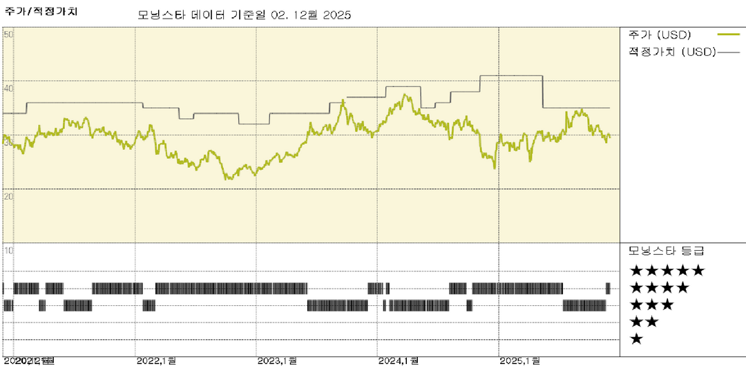 모닝스타 이미지