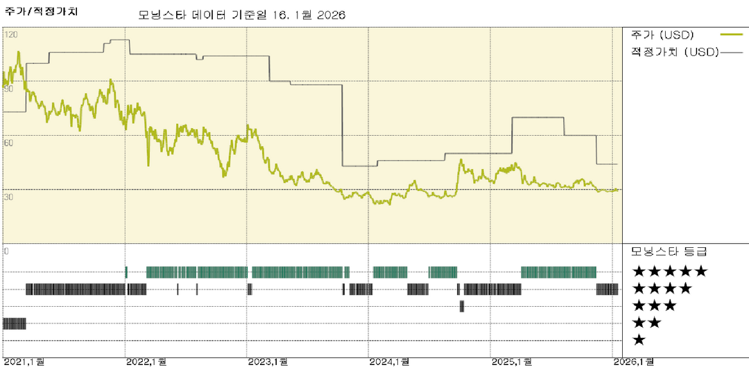 모닝스타 이미지