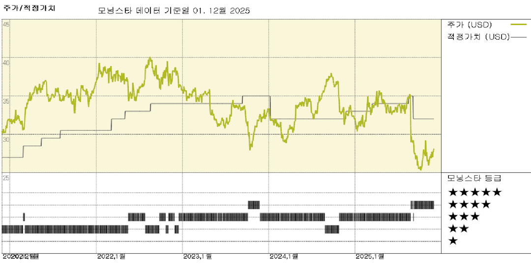 모닝스타 이미지