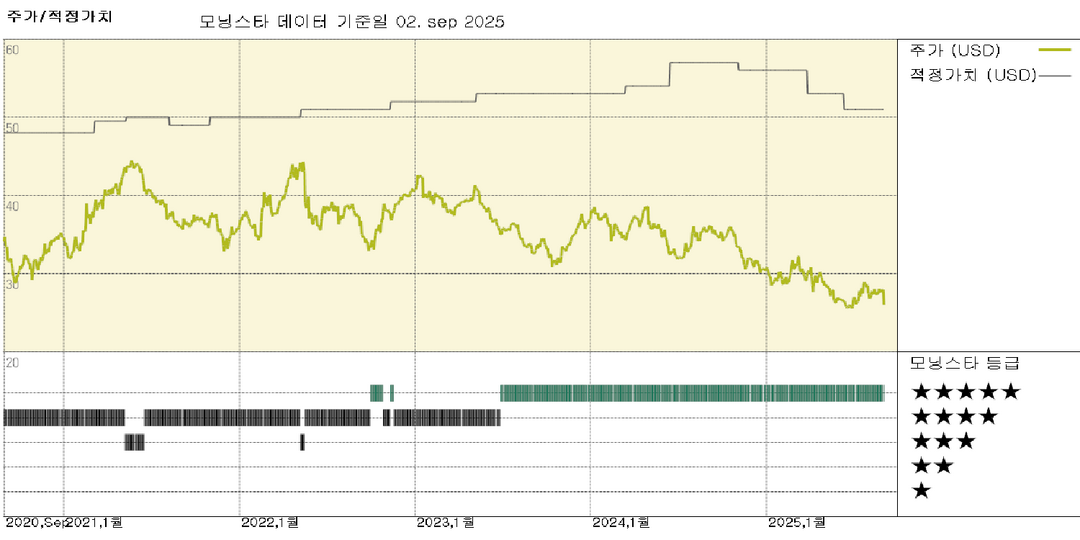 모닝스타 이미지