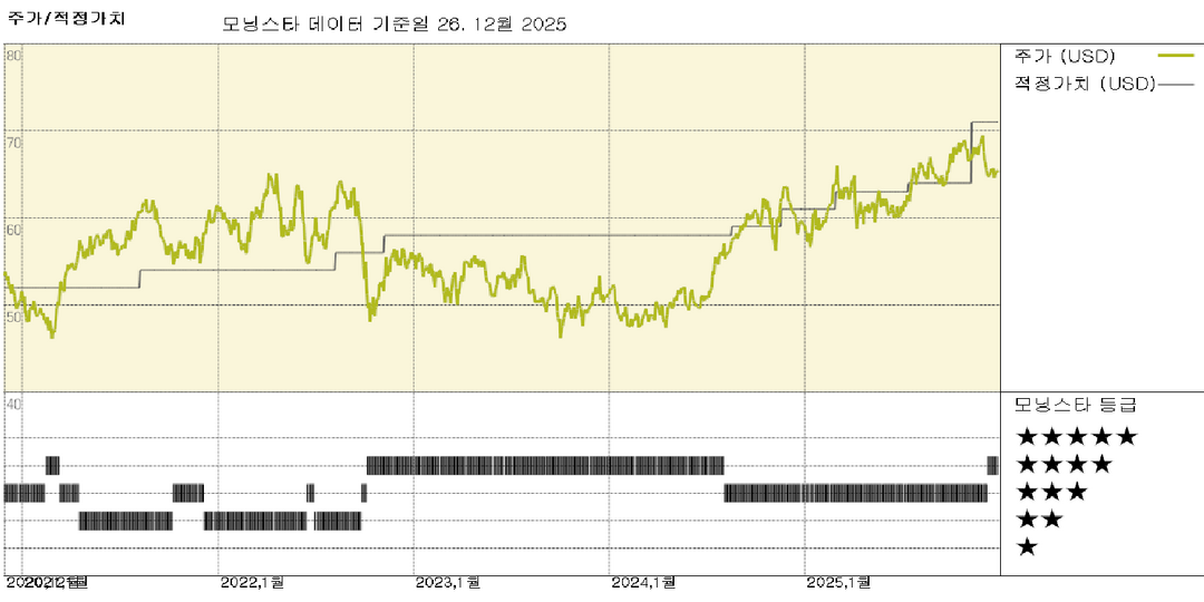 모닝스타 이미지