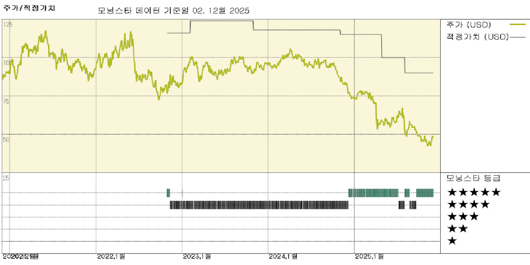 모닝스타 이미지