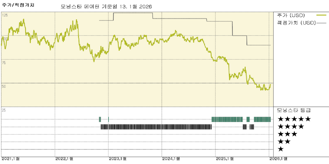 모닝스타 이미지