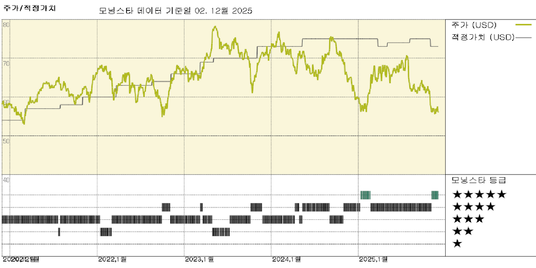 모닝스타 이미지