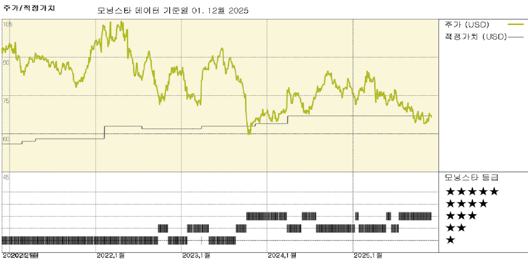 모닝스타 이미지