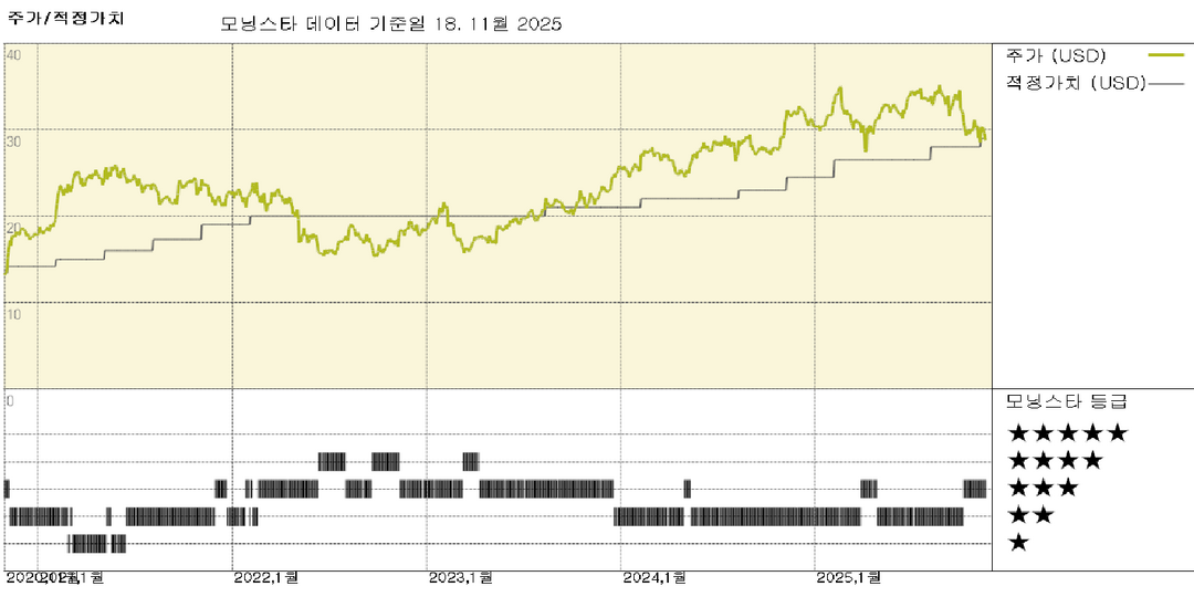 모닝스타 이미지