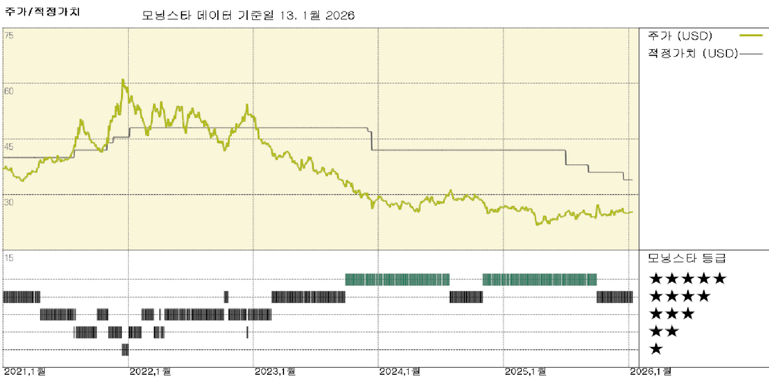 모닝스타 이미지