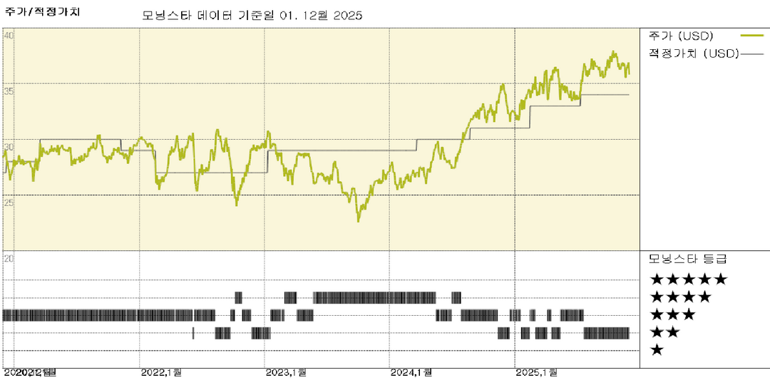 모닝스타 이미지