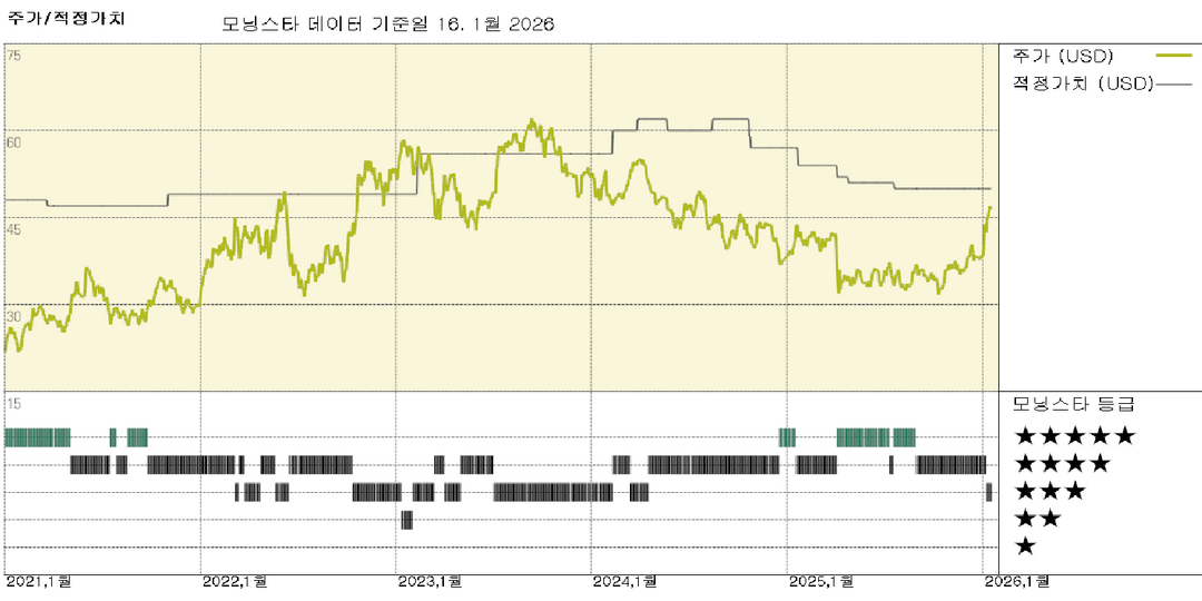 모닝스타 이미지