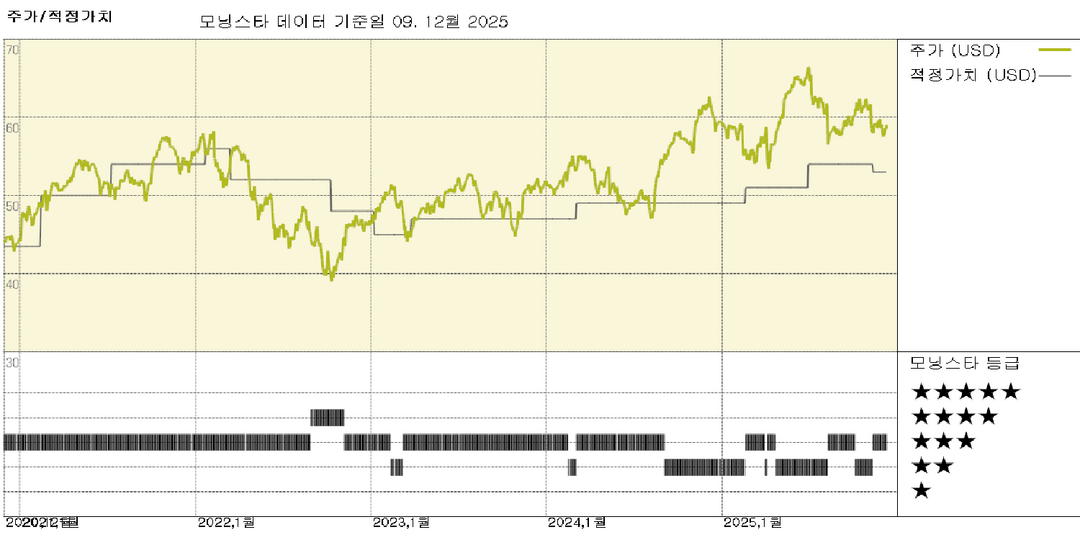 모닝스타 이미지