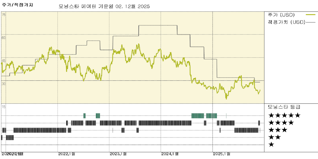 모닝스타 이미지