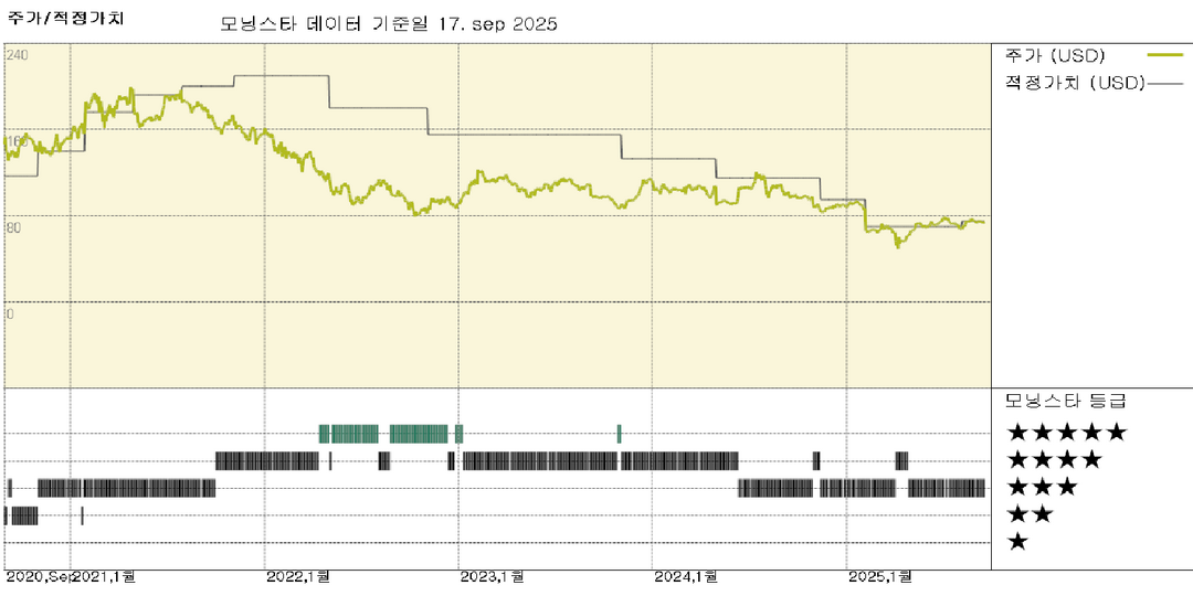 모닝스타 이미지