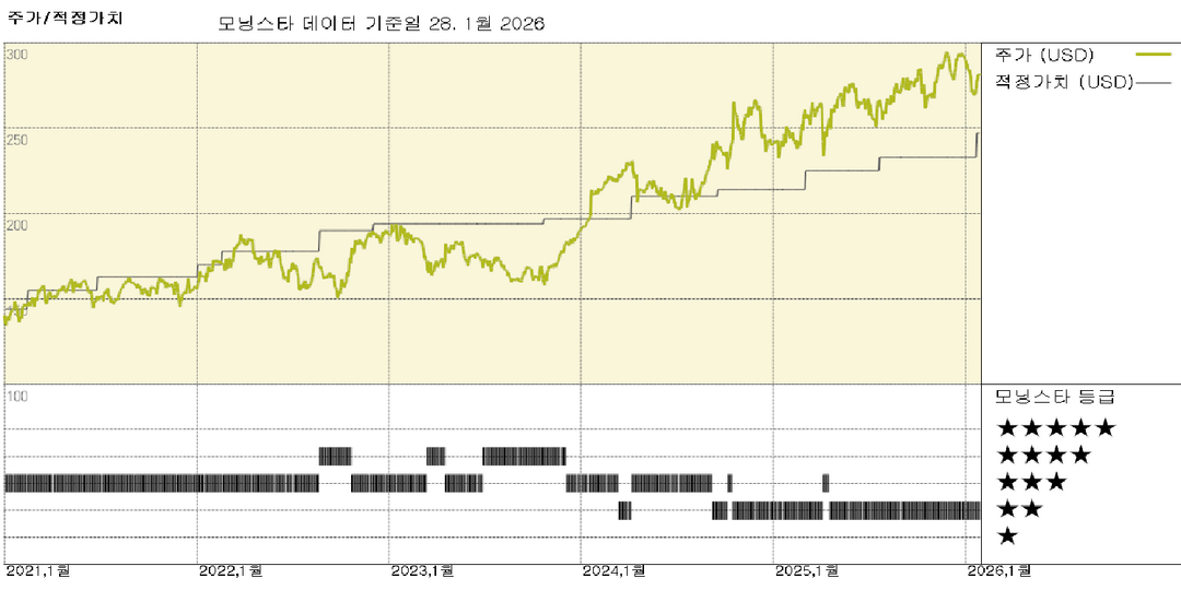 모닝스타 이미지