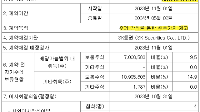 SK, 지주사
