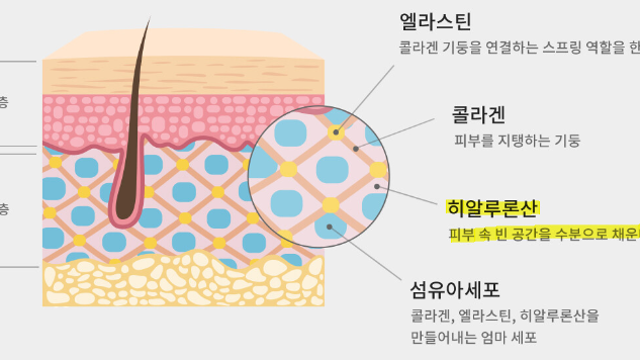 바이오플러스, 히알루론산 기반 의료기기 회사 분석