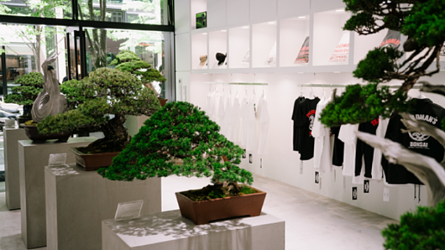 더 센스: 당신도 센스가 있다