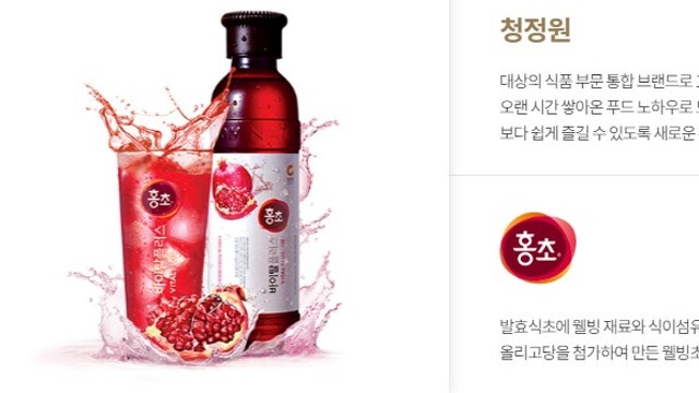 [기업분석] - 대상홀딩스  ① 사업 부문별 살펴보기