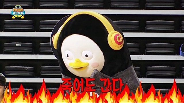 11월 결산 및 복기