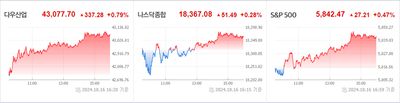 24/10/17 미국주식 특징주