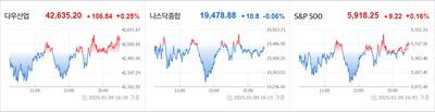 25/01/09 미국주식 특징주