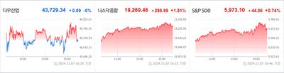 24/11/08 미국 주식 특징주 - 차익실현과 금리인하