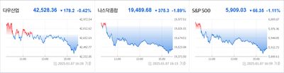 25/01/08 미국주식 특징주