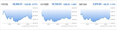 24/12/28 미국주식 특징주 