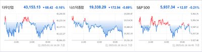 25/01/17 미국주식 특징주