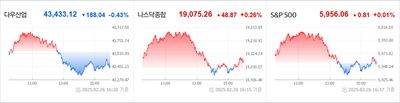 25/02/27 미국 특징주