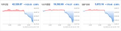 24/12/19 미국주식 특징주