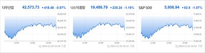 24/12/31 미국주식 특징주