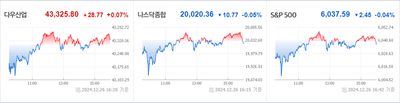 24/12/27 미국주식 특징주