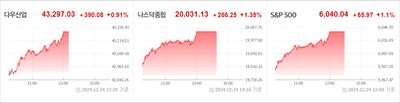 24/12/25 미국주식 특징주