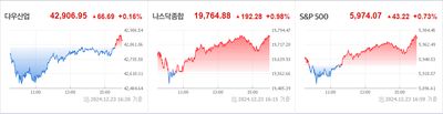 24/12/24 미국주식 특징주