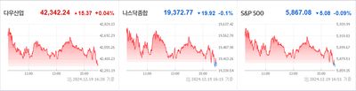 24/12/20 미국주식 특징주