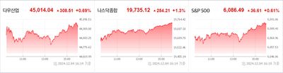 24/12/05 미국주식 특징주