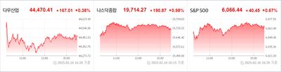 25/02/11 미국주식 특징주